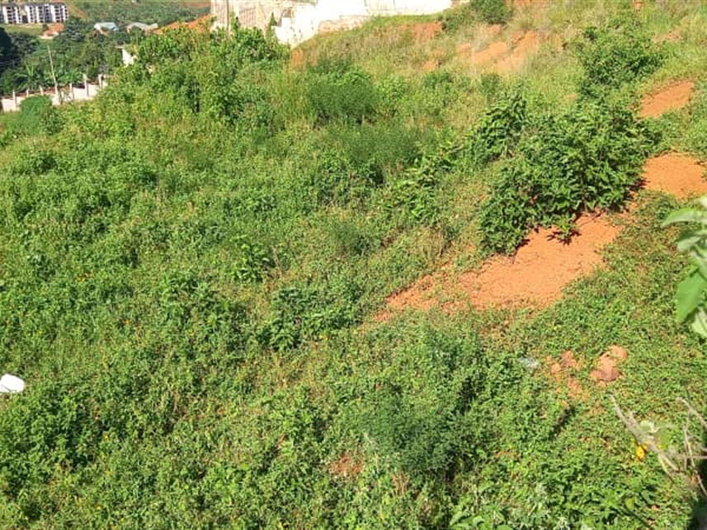 Commercial land for sale in Bwebajja Wakiso Uganda