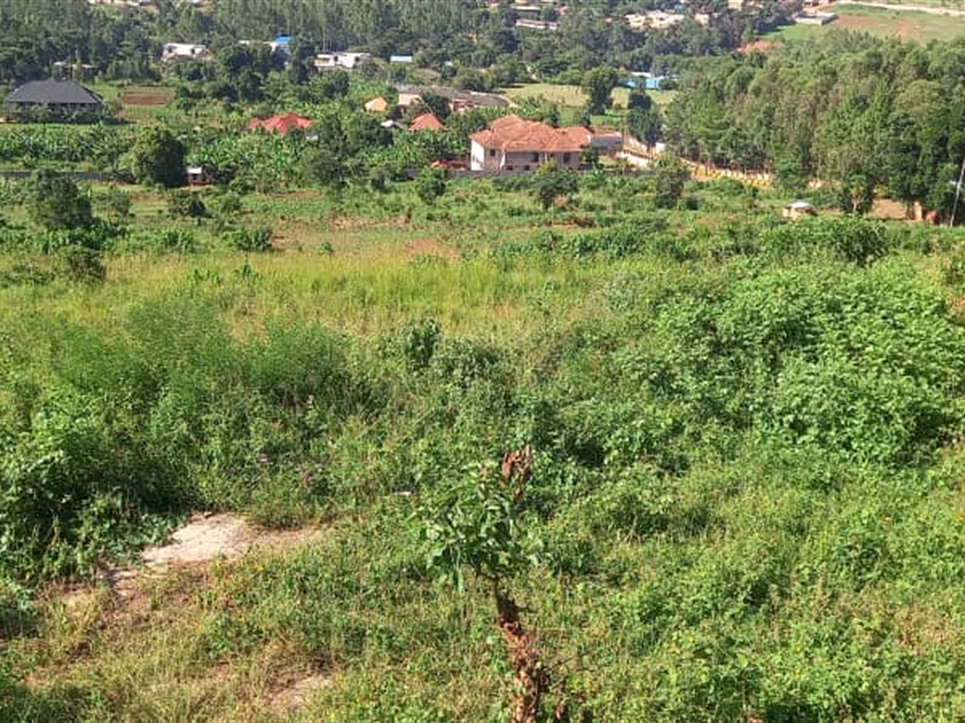 Commercial land for sale in Bwebajja Wakiso Uganda