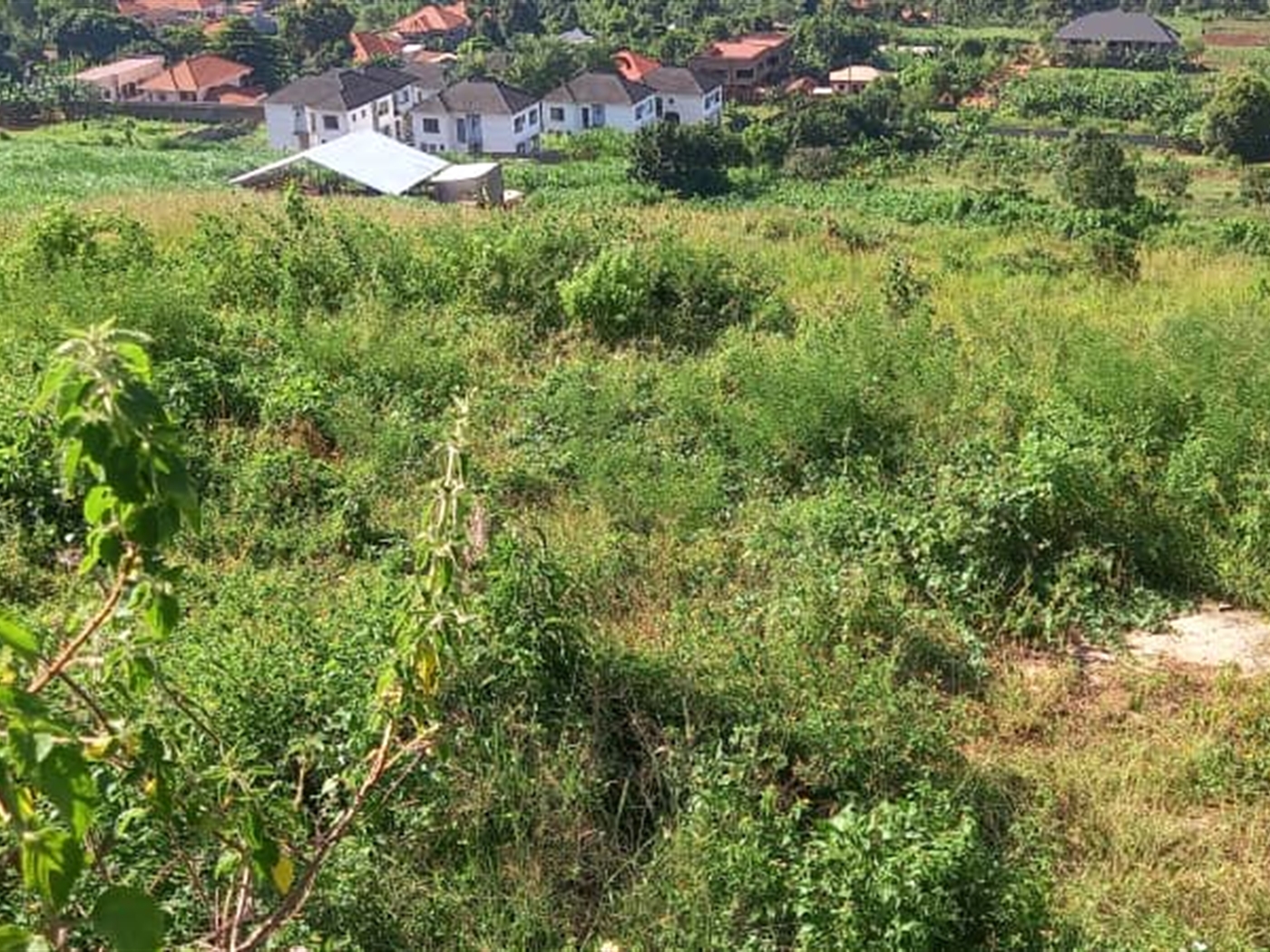 Commercial land for sale in Bwebajja Wakiso Uganda
