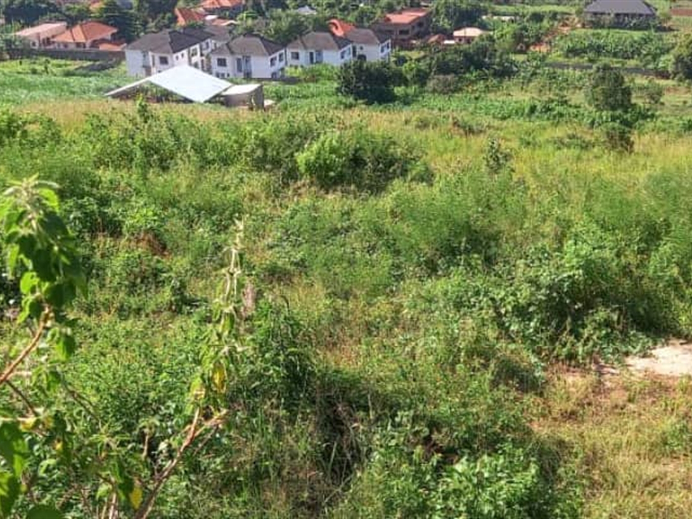 Commercial land for sale in Bwebajja Wakiso Uganda