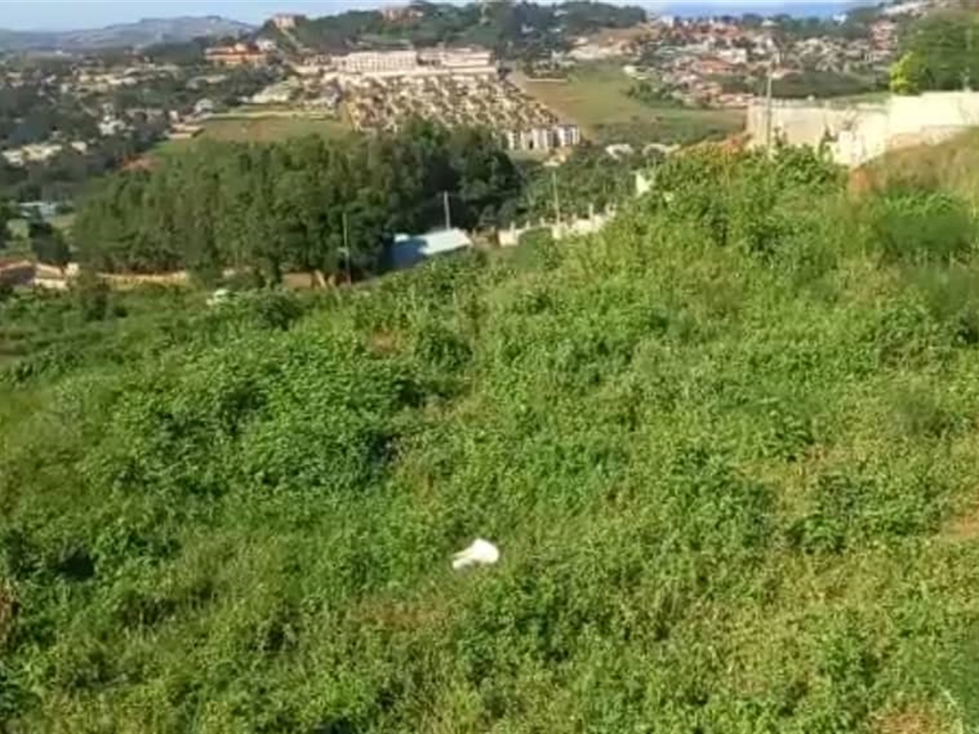 Commercial land for sale in Bwebajja Wakiso Uganda