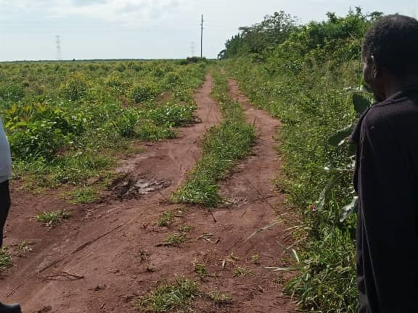 Commercial land for sale in Yandwe Luweero Uganda