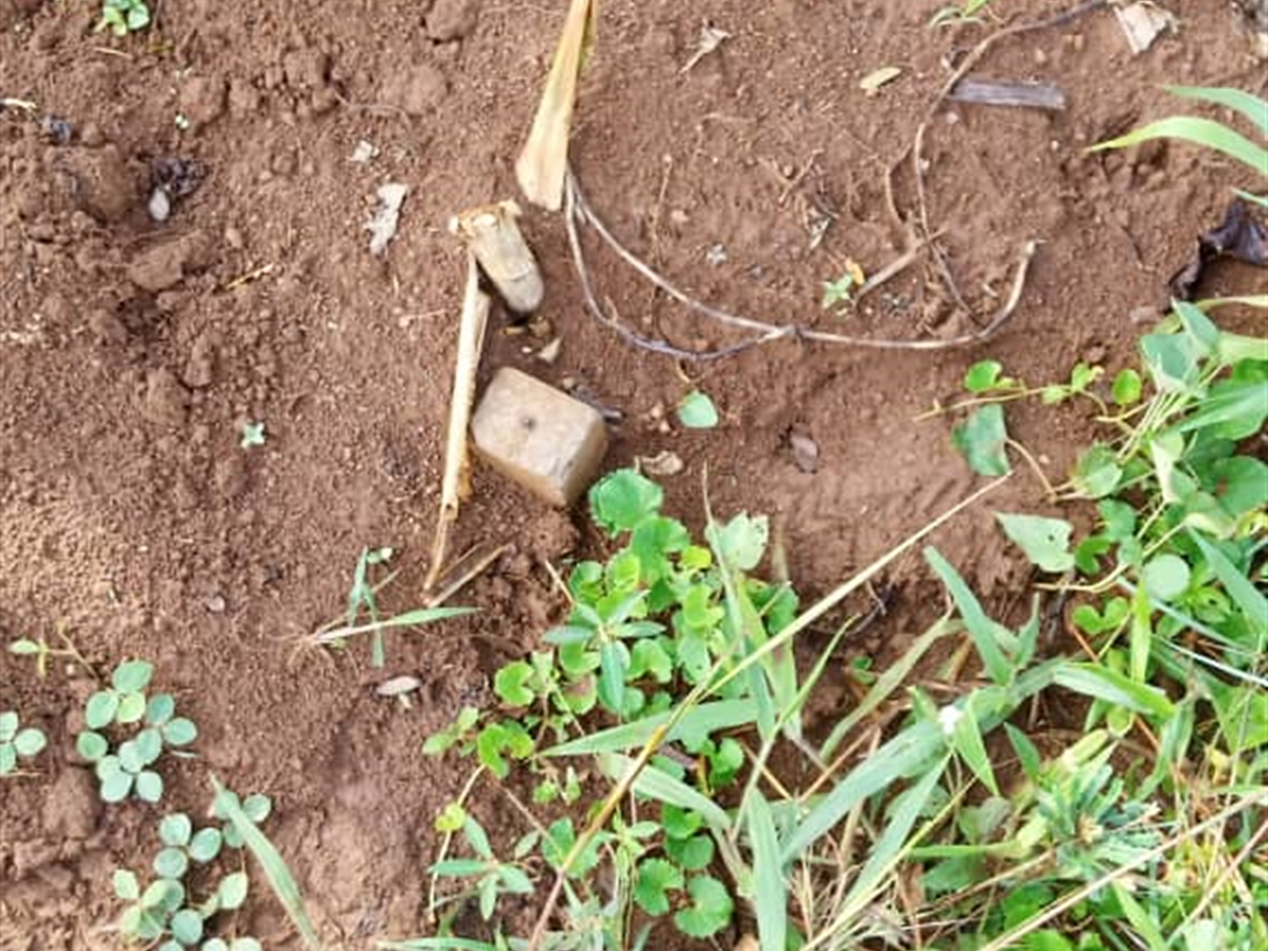 Commercial land for sale in Yandwe Luweero Uganda