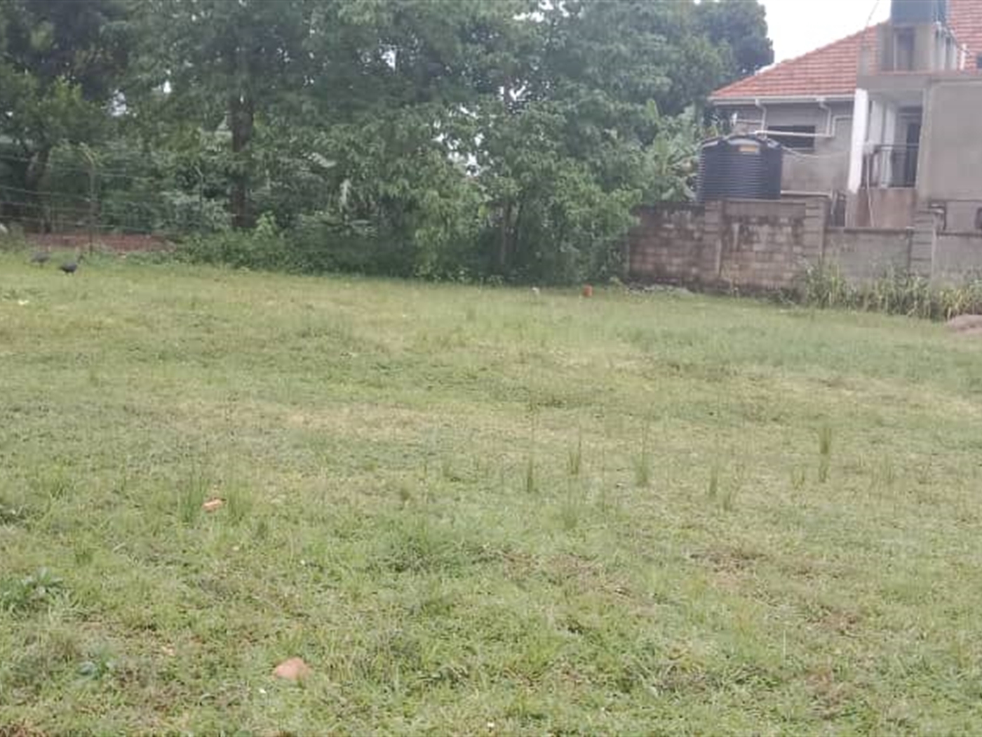 Commercial land for sale in Tula Kampala Uganda