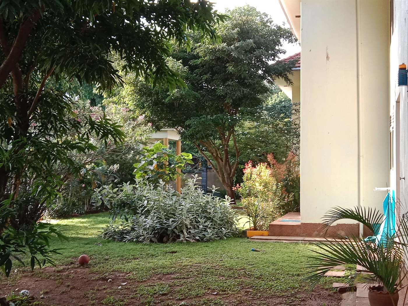 3 bedroom Apartment block for rent in Kololo Kampala Uganda