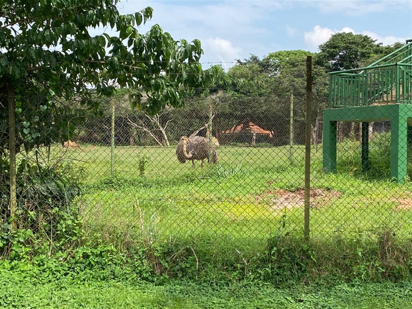 Commercial land for sale in Entebbe Wakiso Uganda