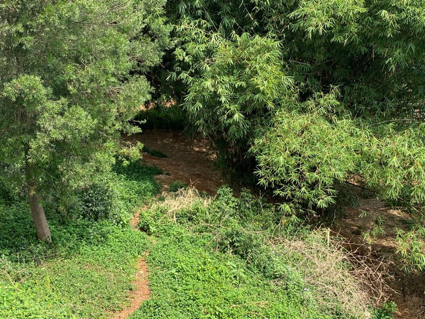 Commercial land for sale in Entebbe Wakiso Uganda