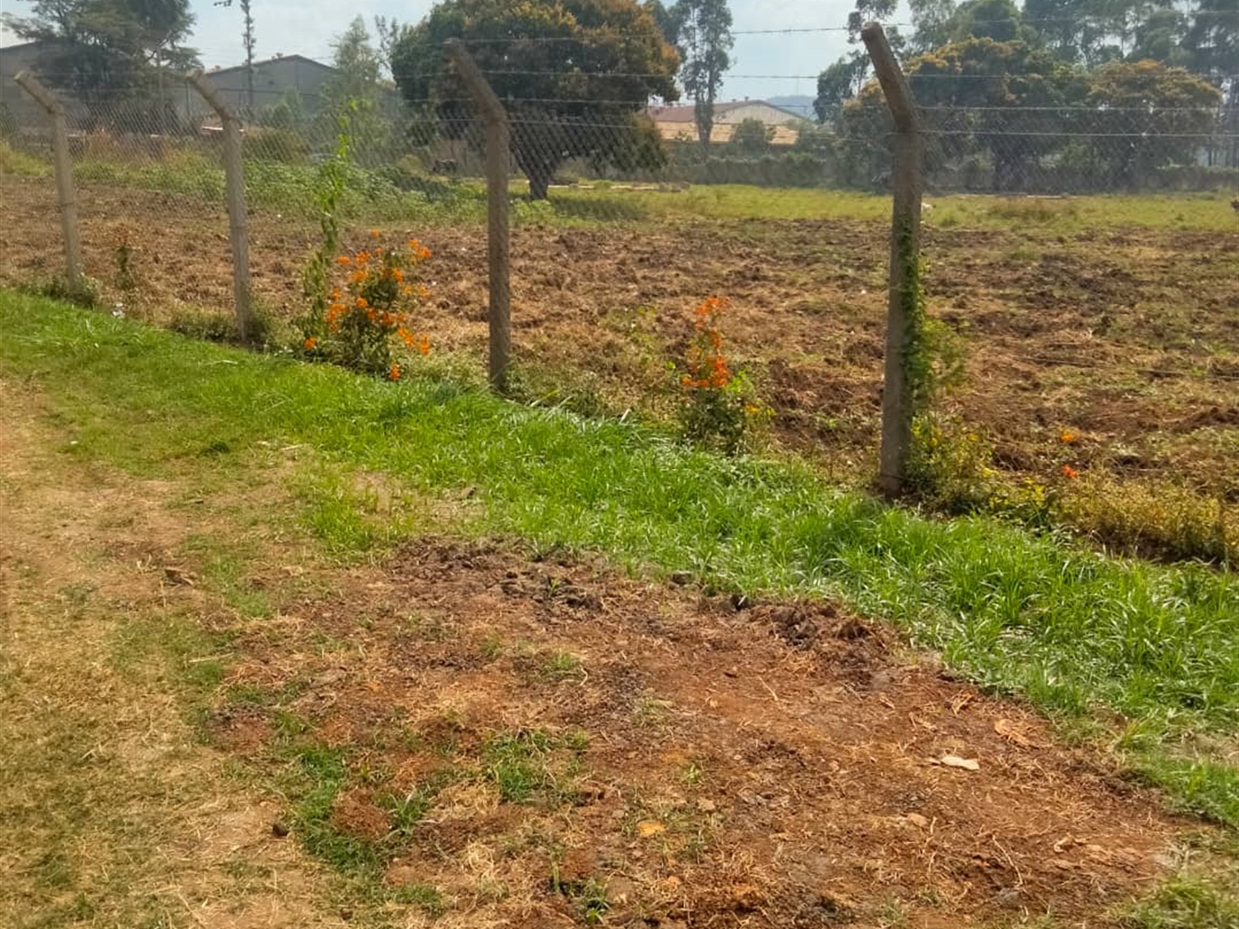 Commercial land for sale in Jinjacenter Jinja Uganda