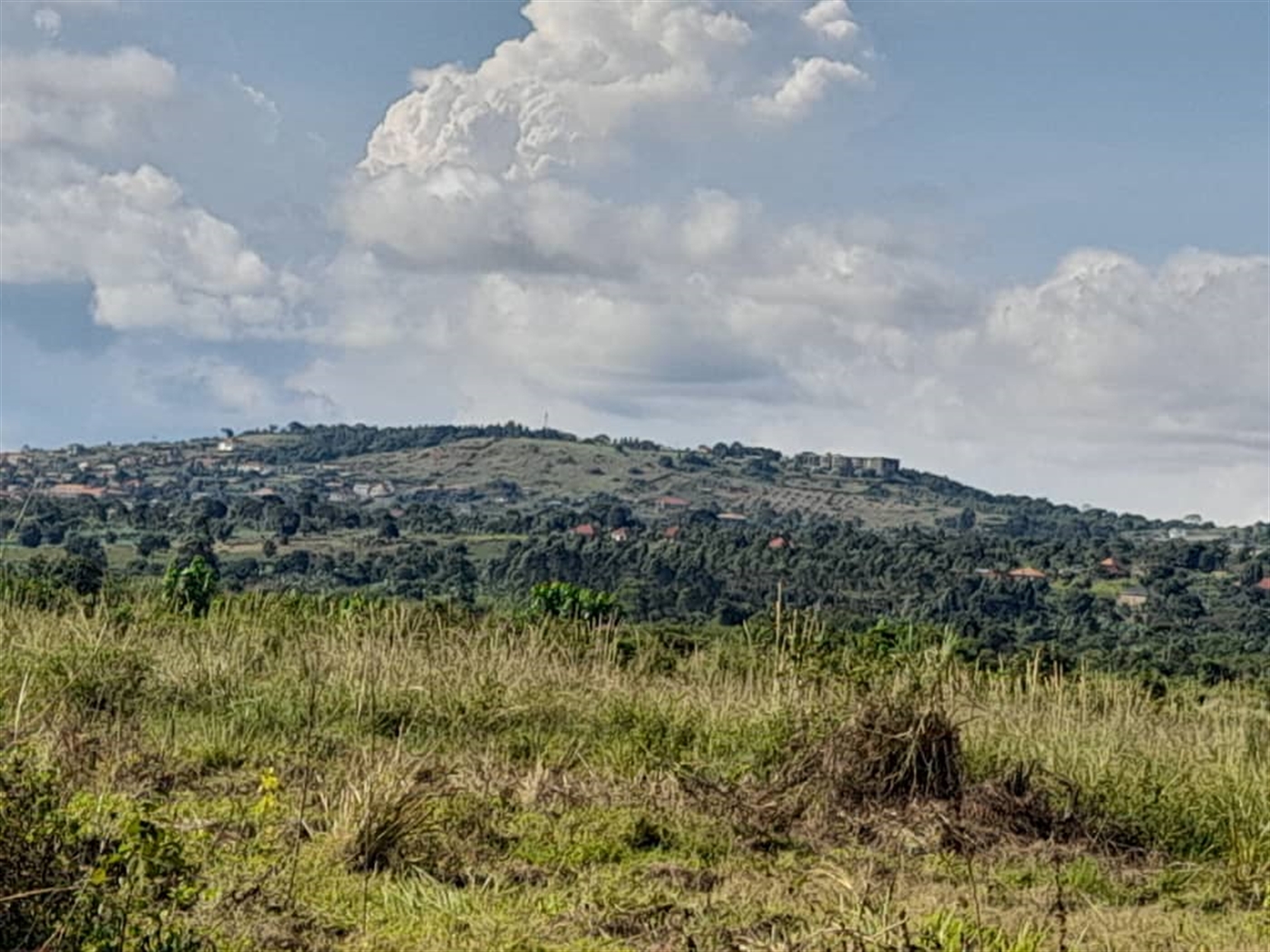 Commercial land for sale in Jjandira Mpigi Uganda
