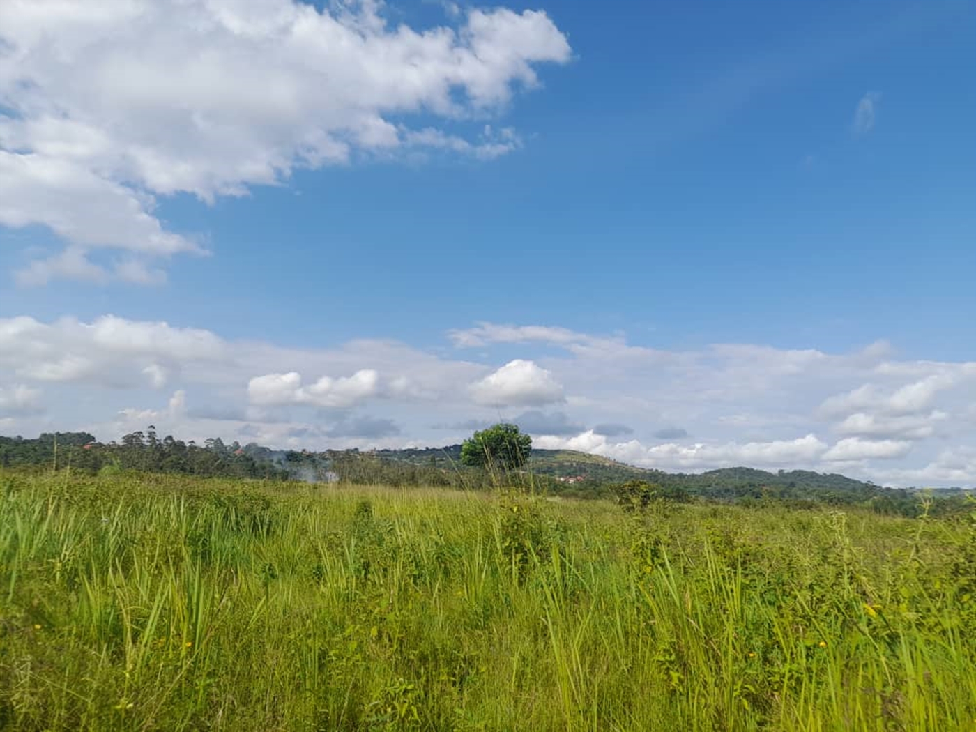 Commercial land for sale in Jjandira Mpigi Uganda