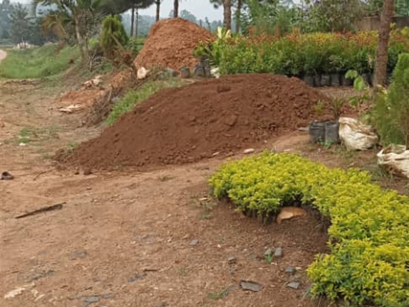 Commercial land for sale in Kabanyolo Wakiso Uganda