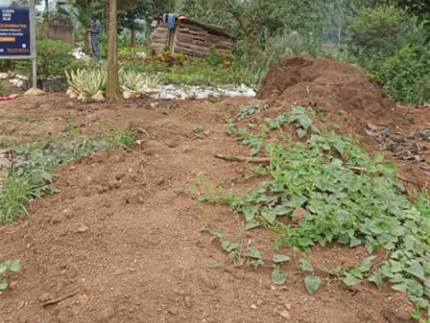 Commercial land for sale in Kabanyolo Wakiso Uganda