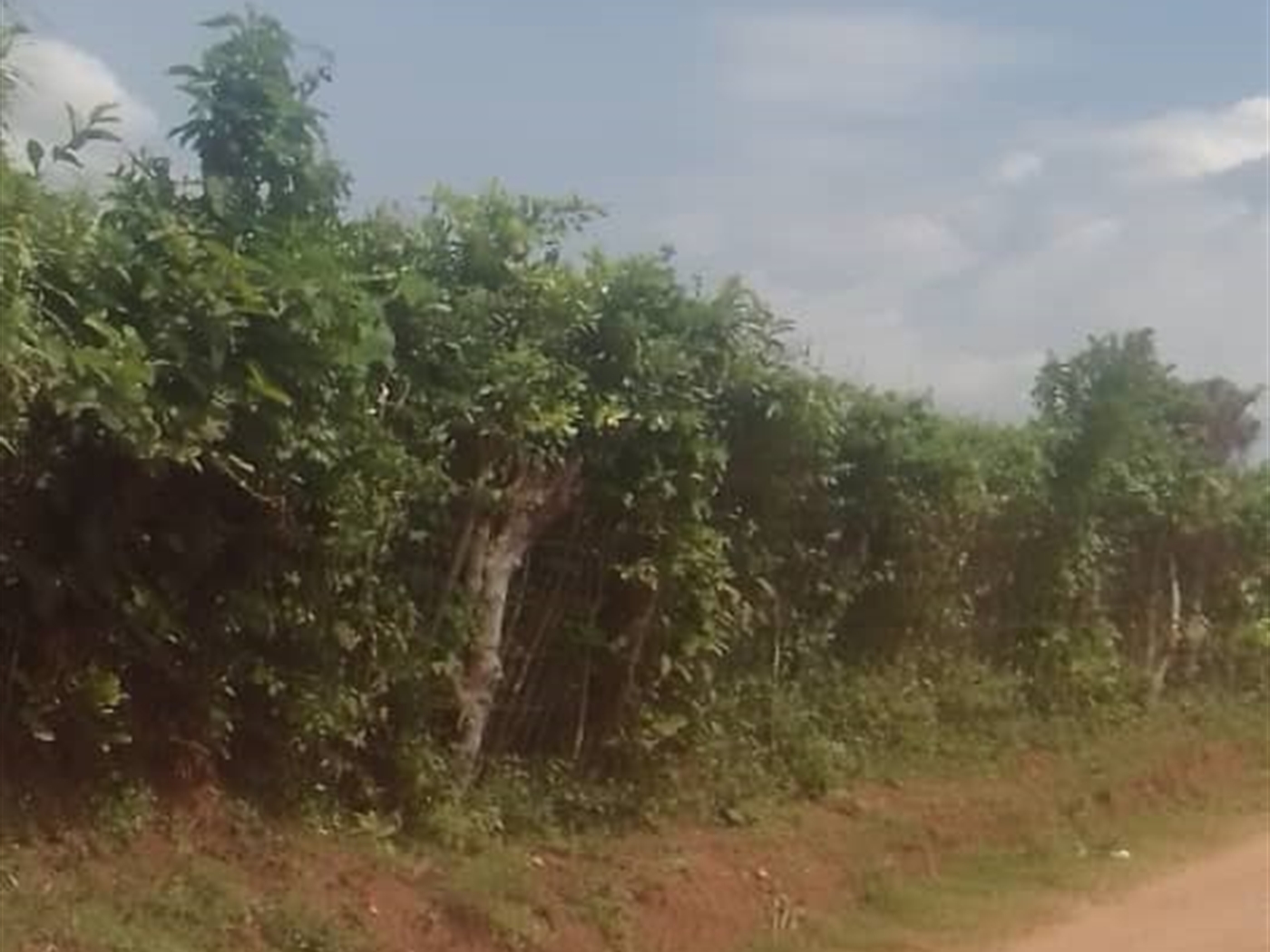 Commercial land for sale in Kalagi Mukono Uganda