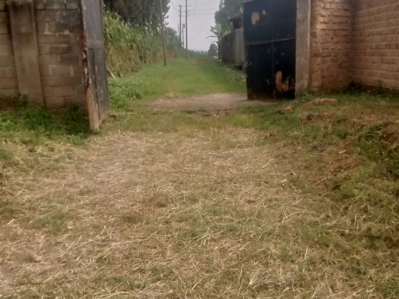 Commercial land for sale in Namugongo Wakiso Uganda
