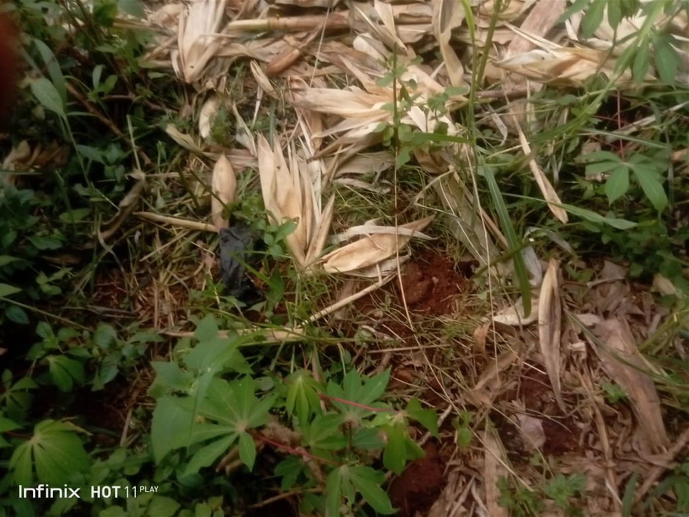 Commercial land for sale in Namugongo Wakiso Uganda