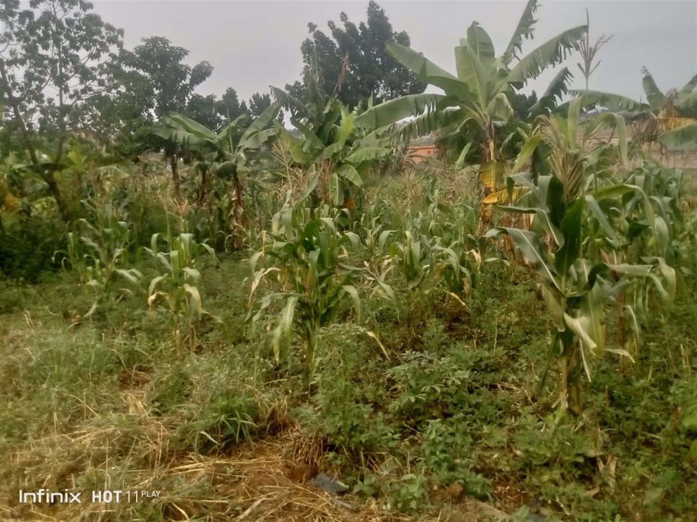 Commercial land for sale in Namugongo Wakiso Uganda