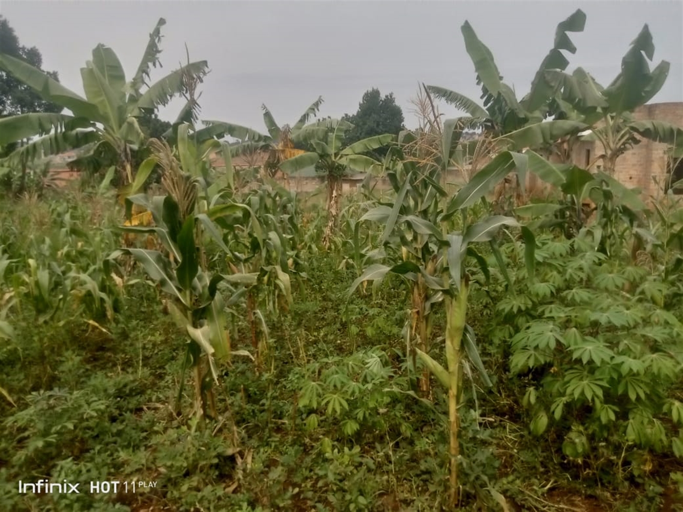 Commercial land for sale in Namugongo Wakiso Uganda