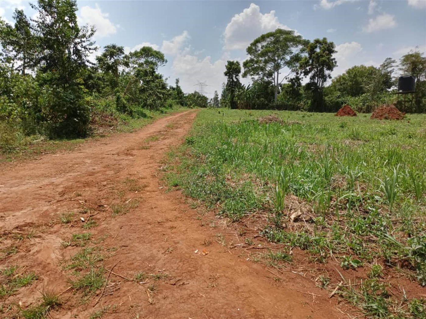 Commercial land for sale in Kalule Luweero Uganda