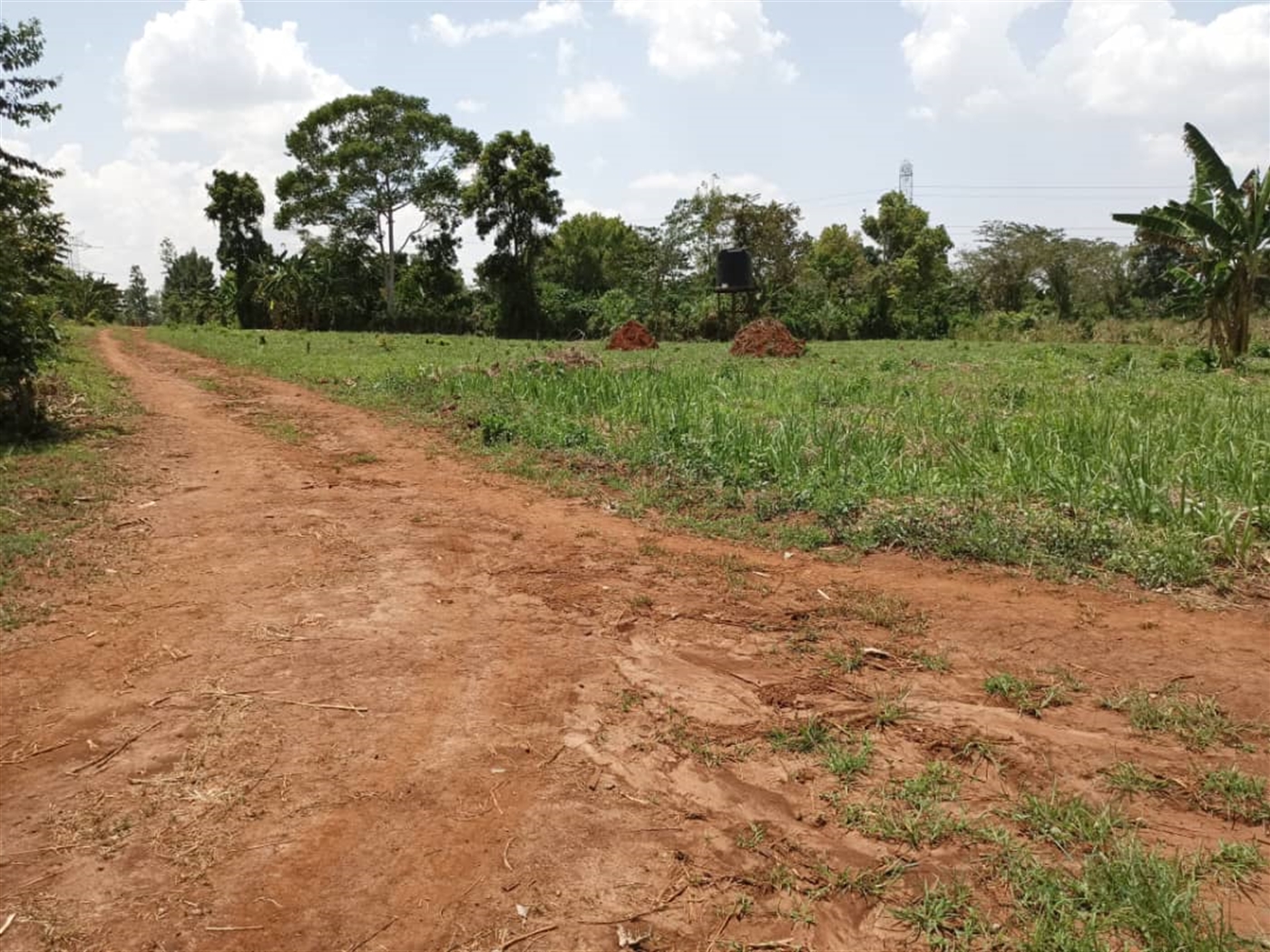 Commercial land for sale in Kalule Luweero Uganda