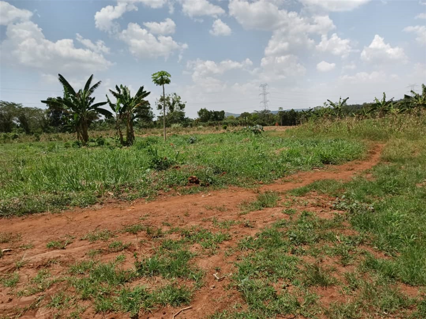 Commercial land for sale in Kalule Luweero Uganda
