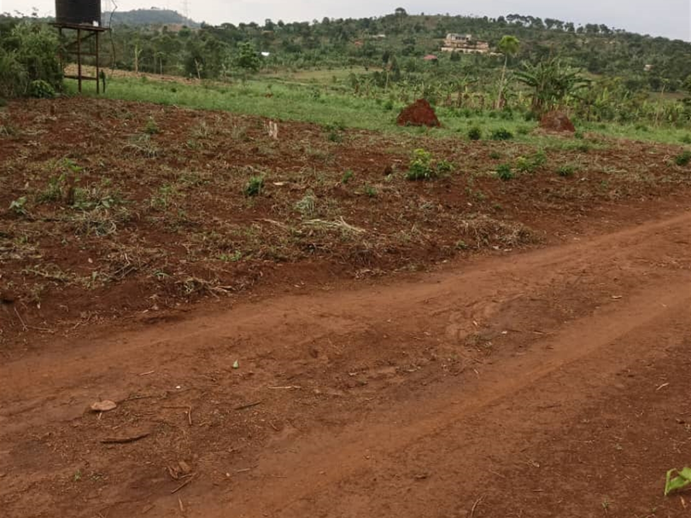 Commercial land for sale in Kalule Luweero Uganda