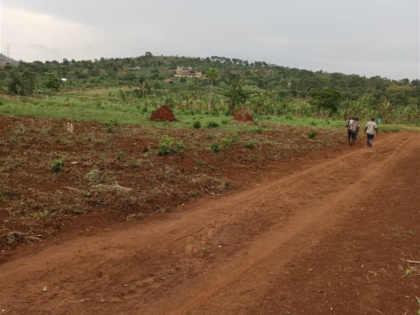 Commercial land for sale in Kalule Luweero Uganda