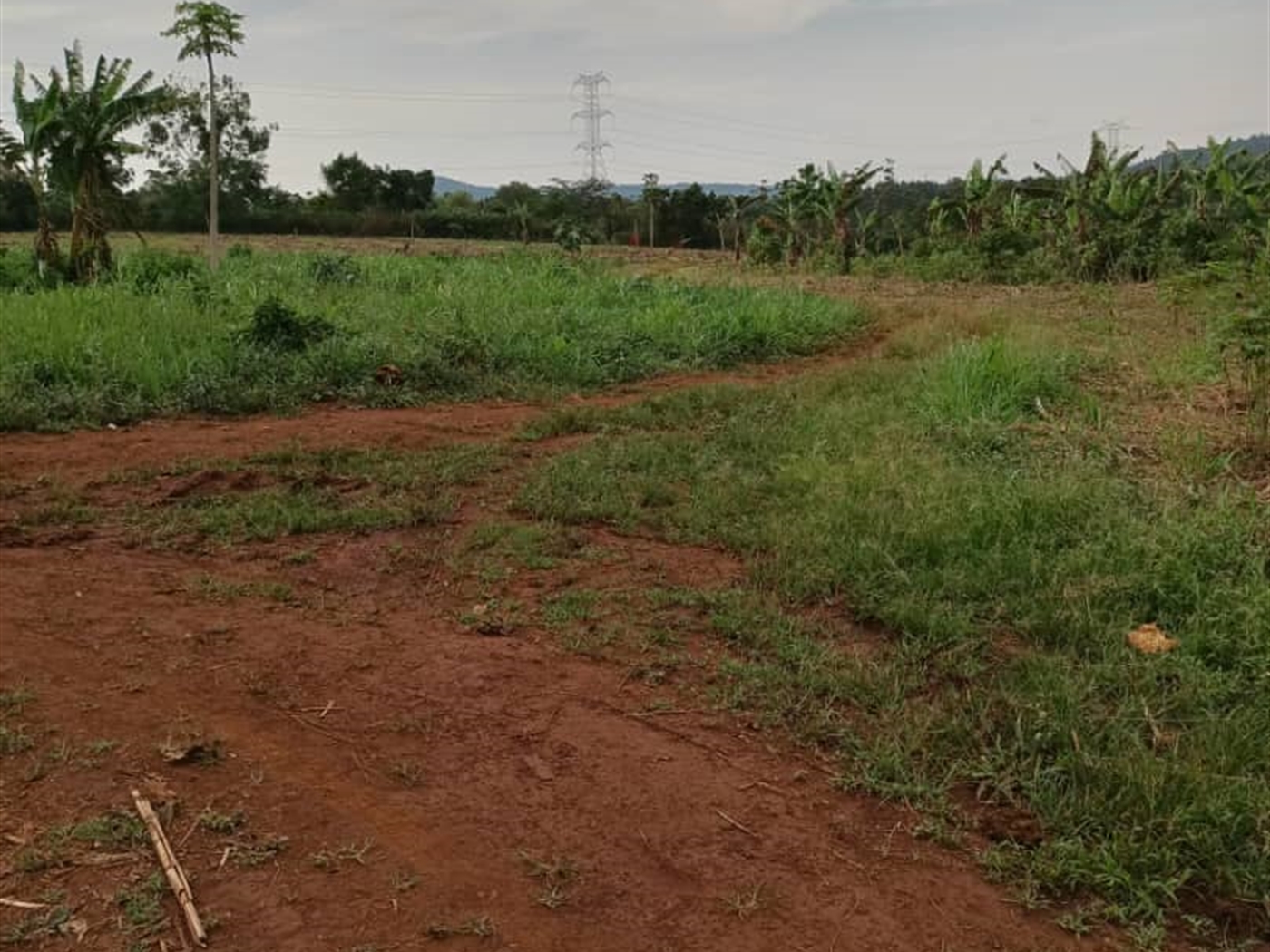 Commercial land for sale in Kalule Luweero Uganda