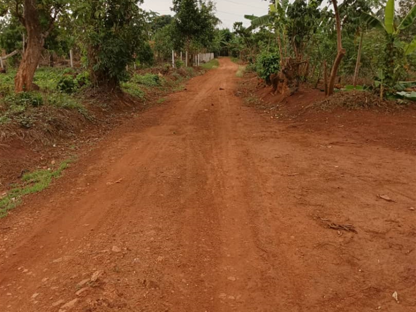 Commercial land for sale in Kalule Luweero Uganda