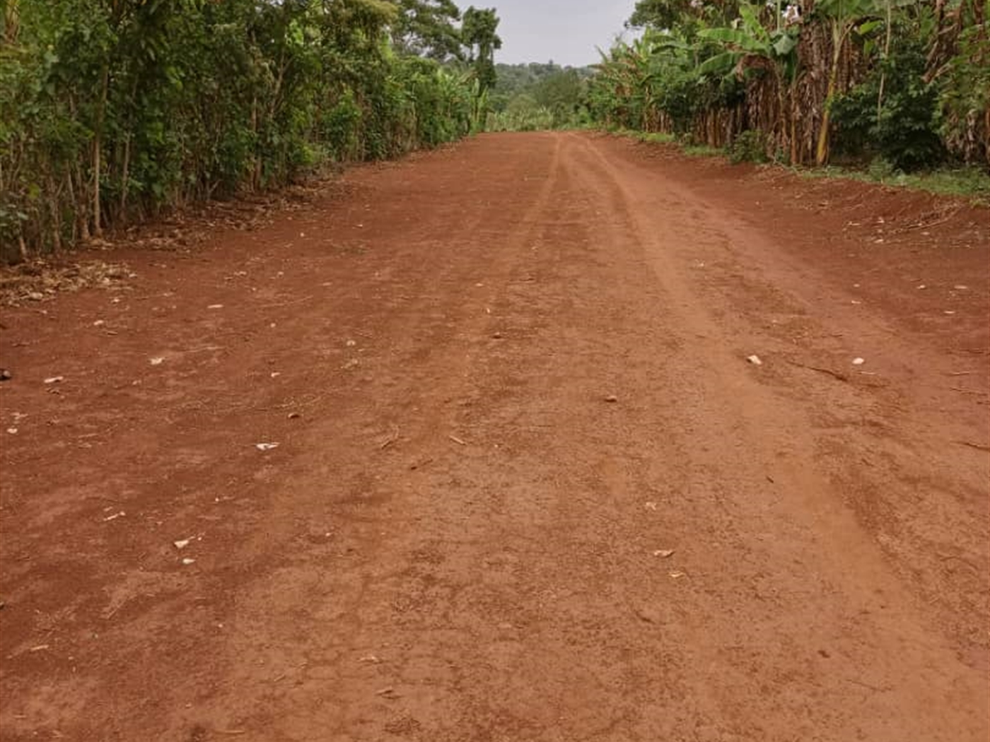 Commercial land for sale in Kalule Luweero Uganda