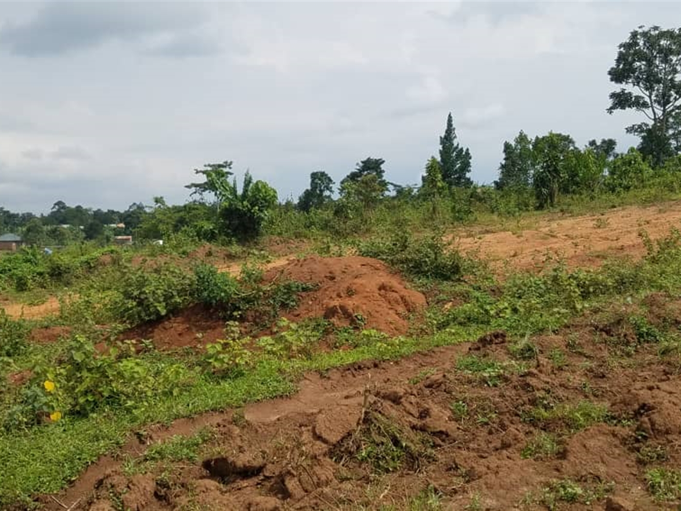 Commercial land for sale in Nakassajja Wakiso Uganda