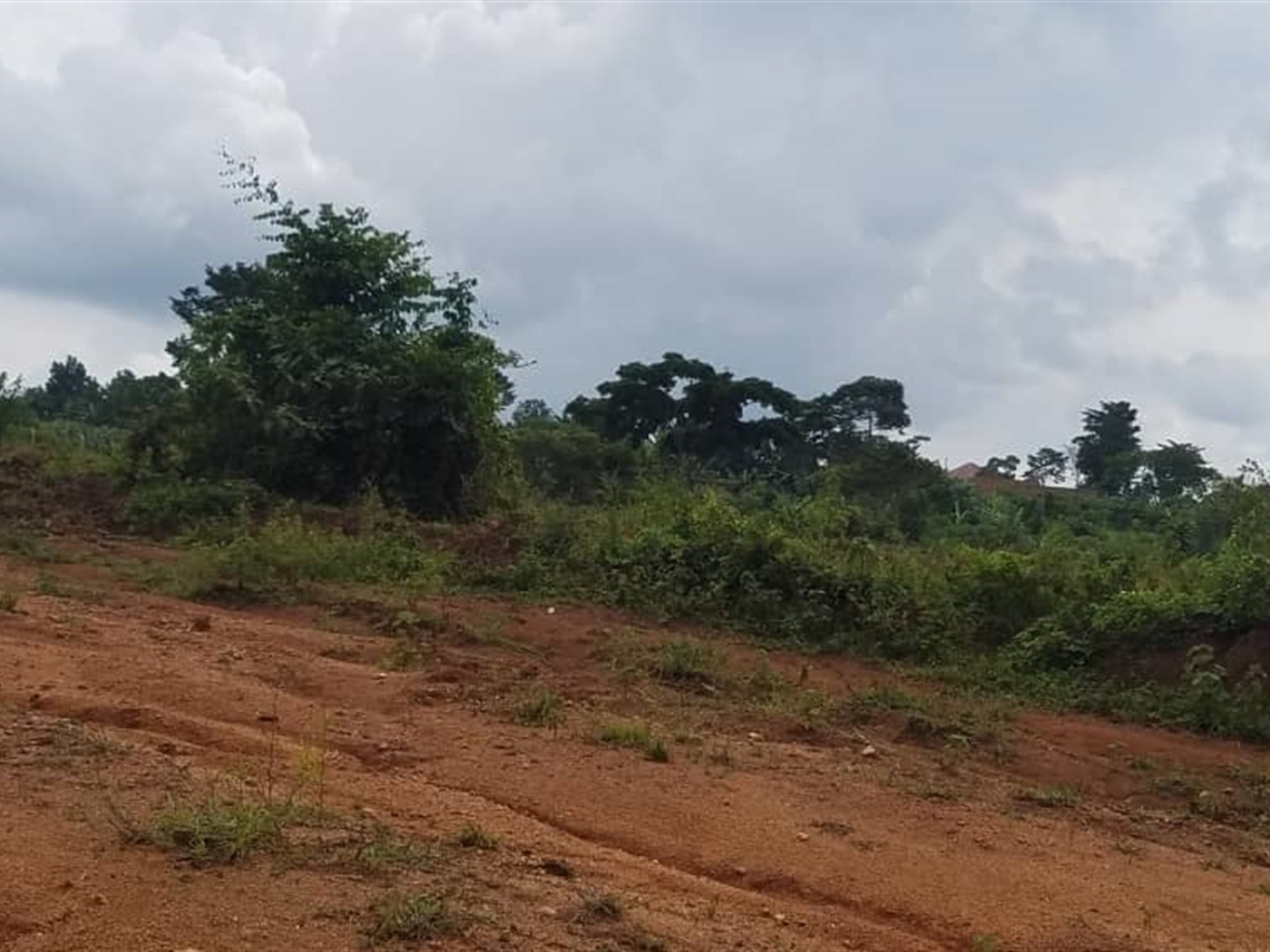 Commercial land for sale in Nakassajja Wakiso Uganda