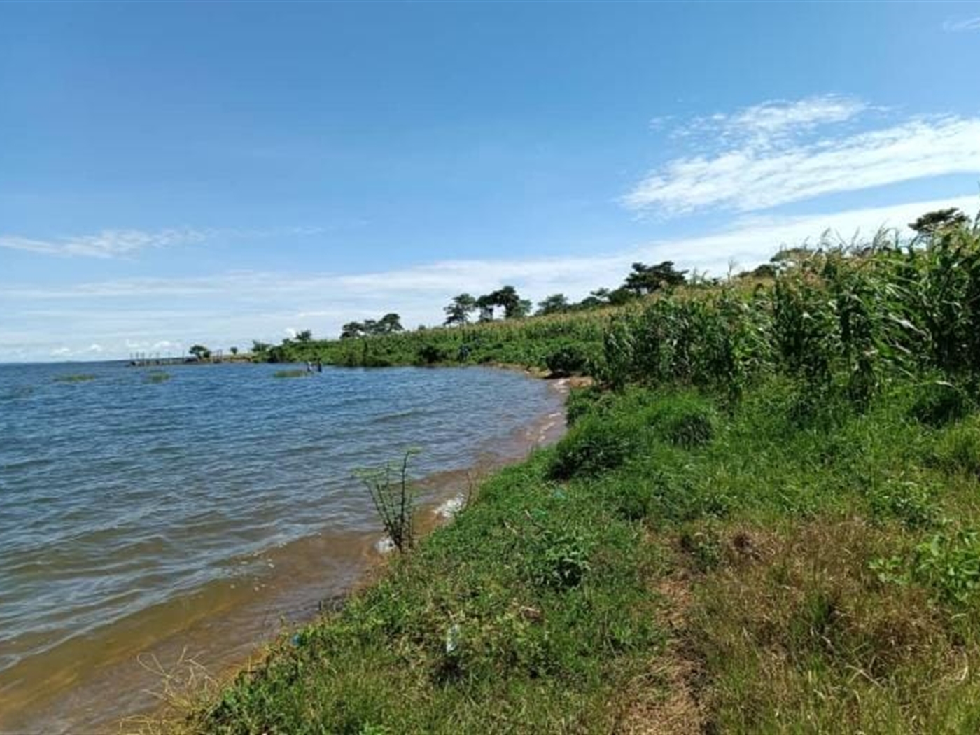 Commercial land for sale in Katosi Mukono Uganda
