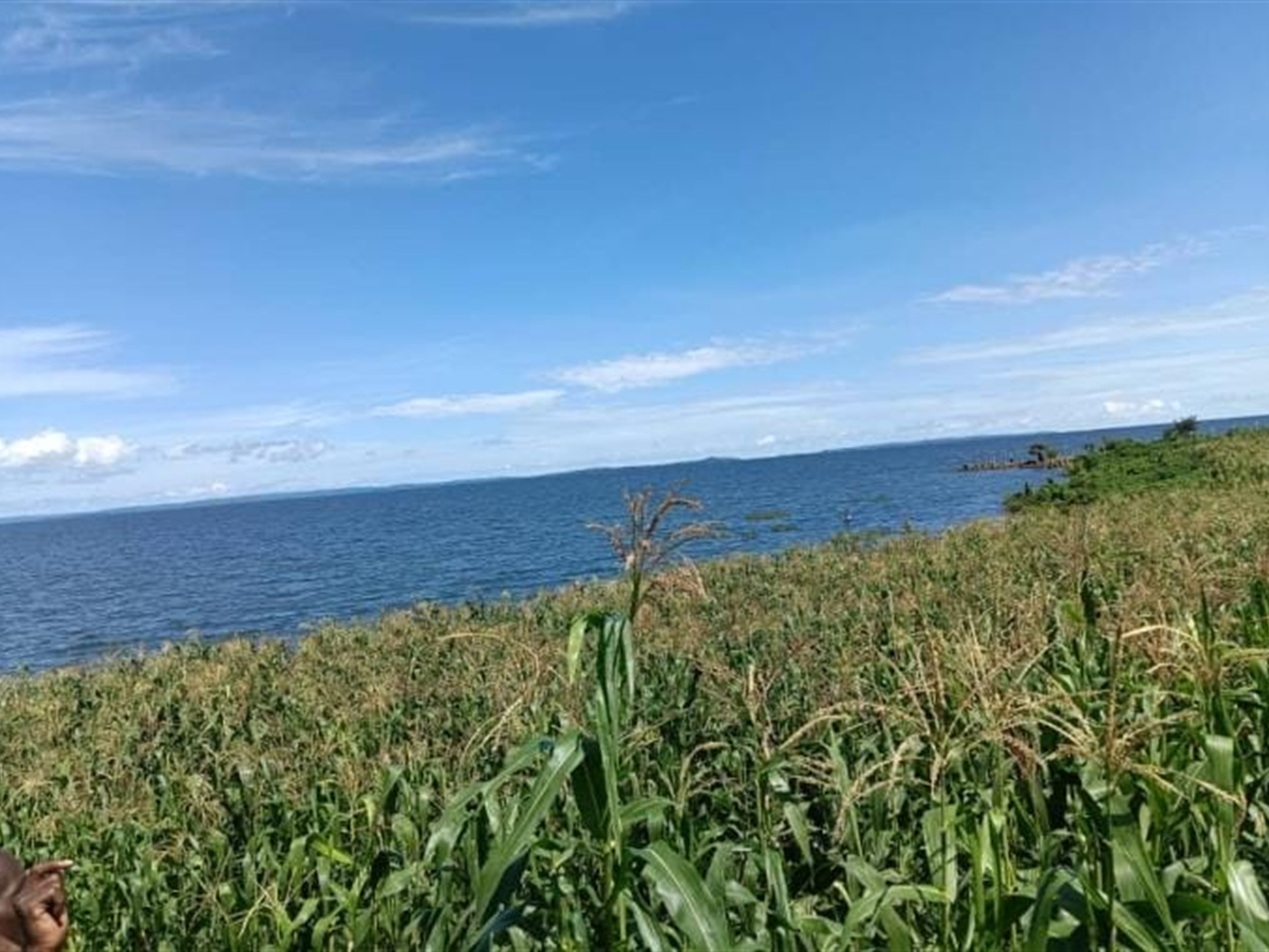 Commercial land for sale in Katosi Mukono Uganda