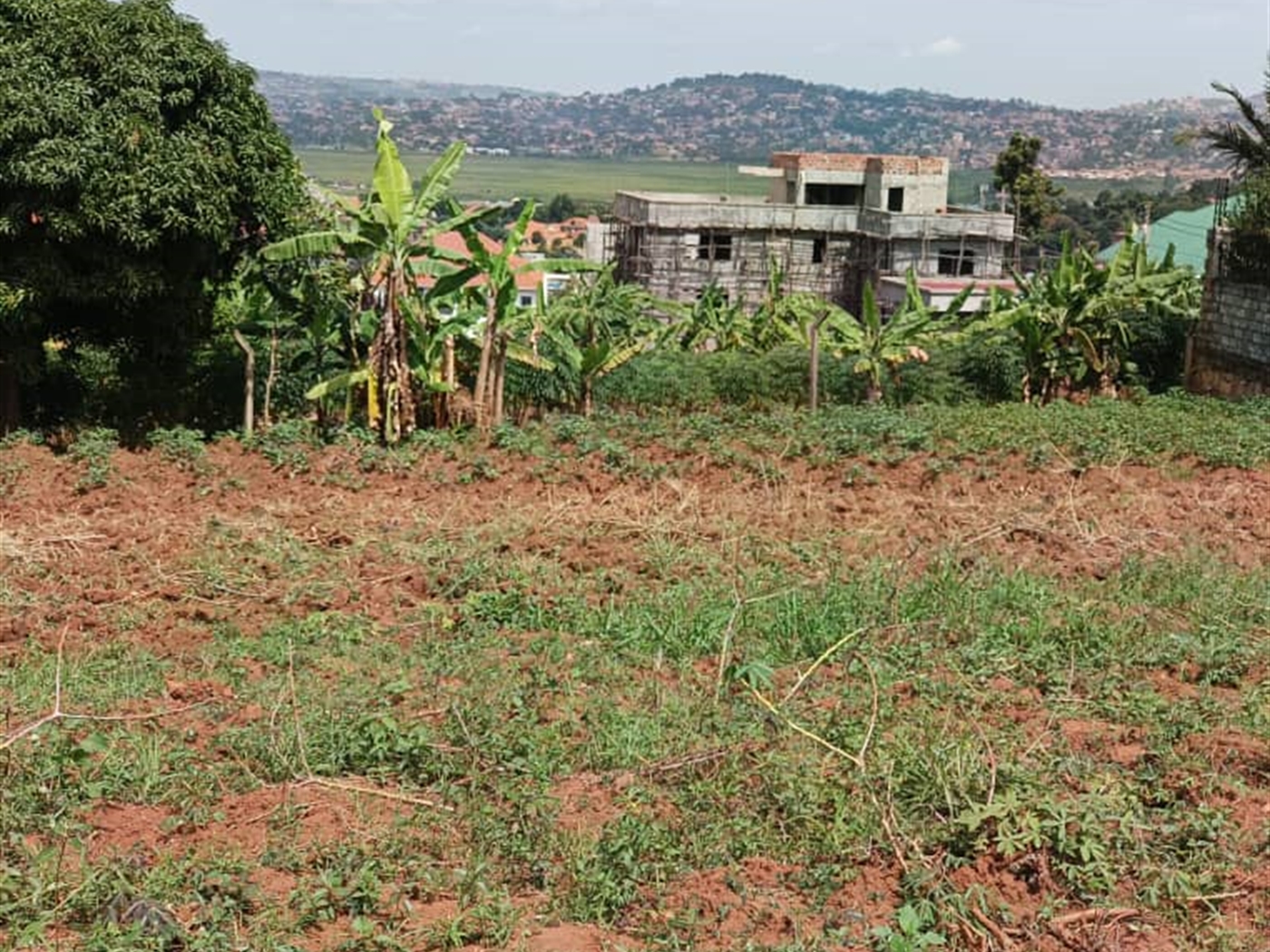 Commercial land for sale in Kigo Wakiso Uganda
