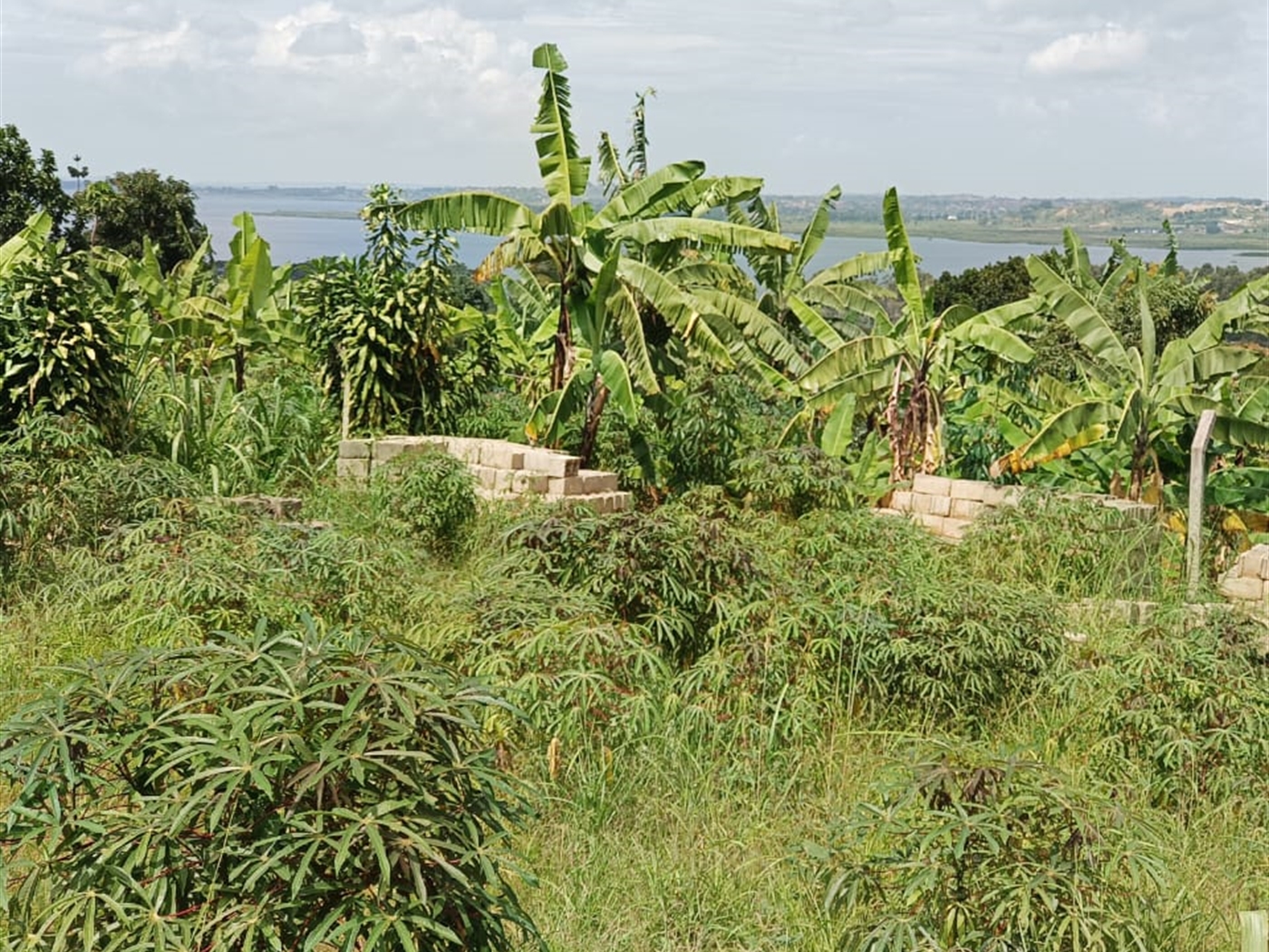 Commercial land for sale in Kigo Wakiso Uganda