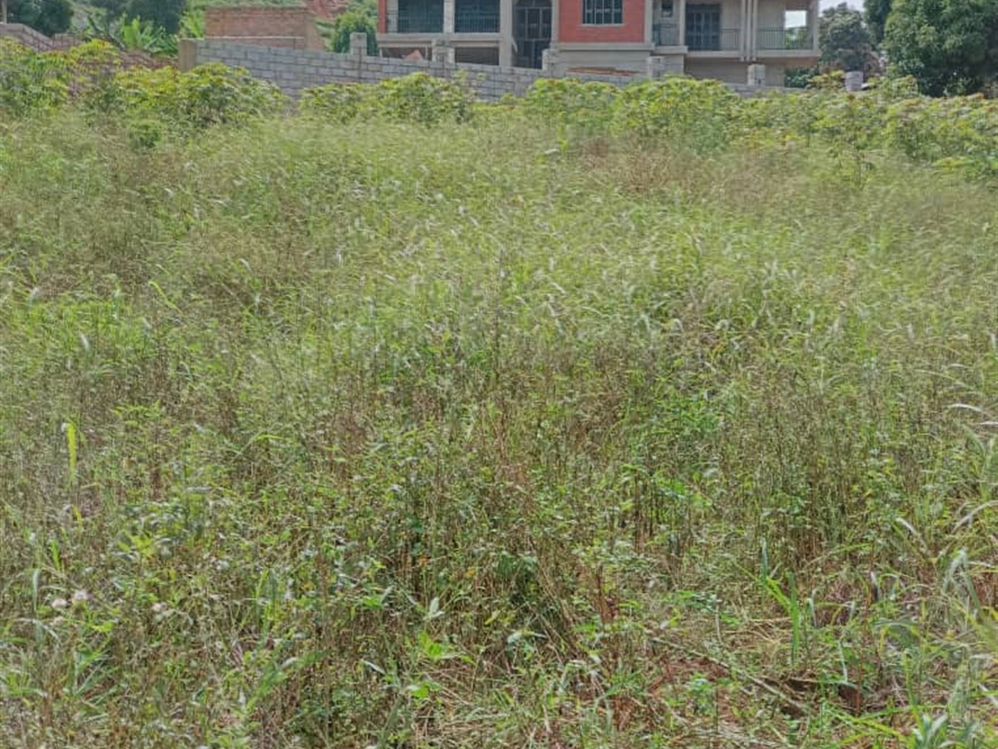 Commercial land for sale in Kigo Wakiso Uganda