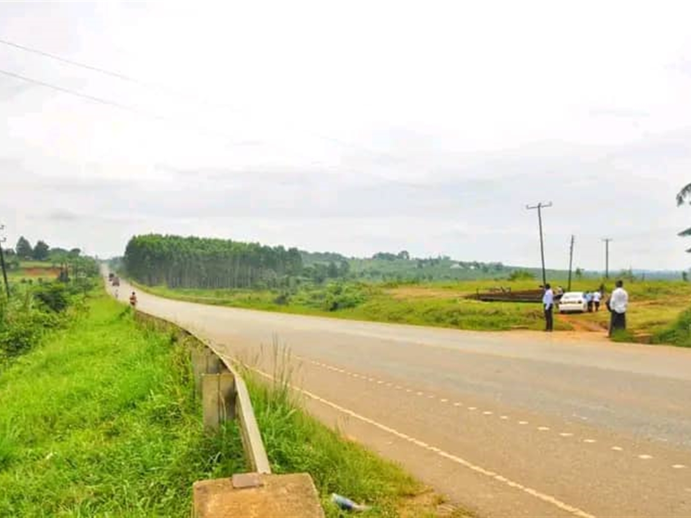 Commercial land for sale in Kikonge Mityana Uganda