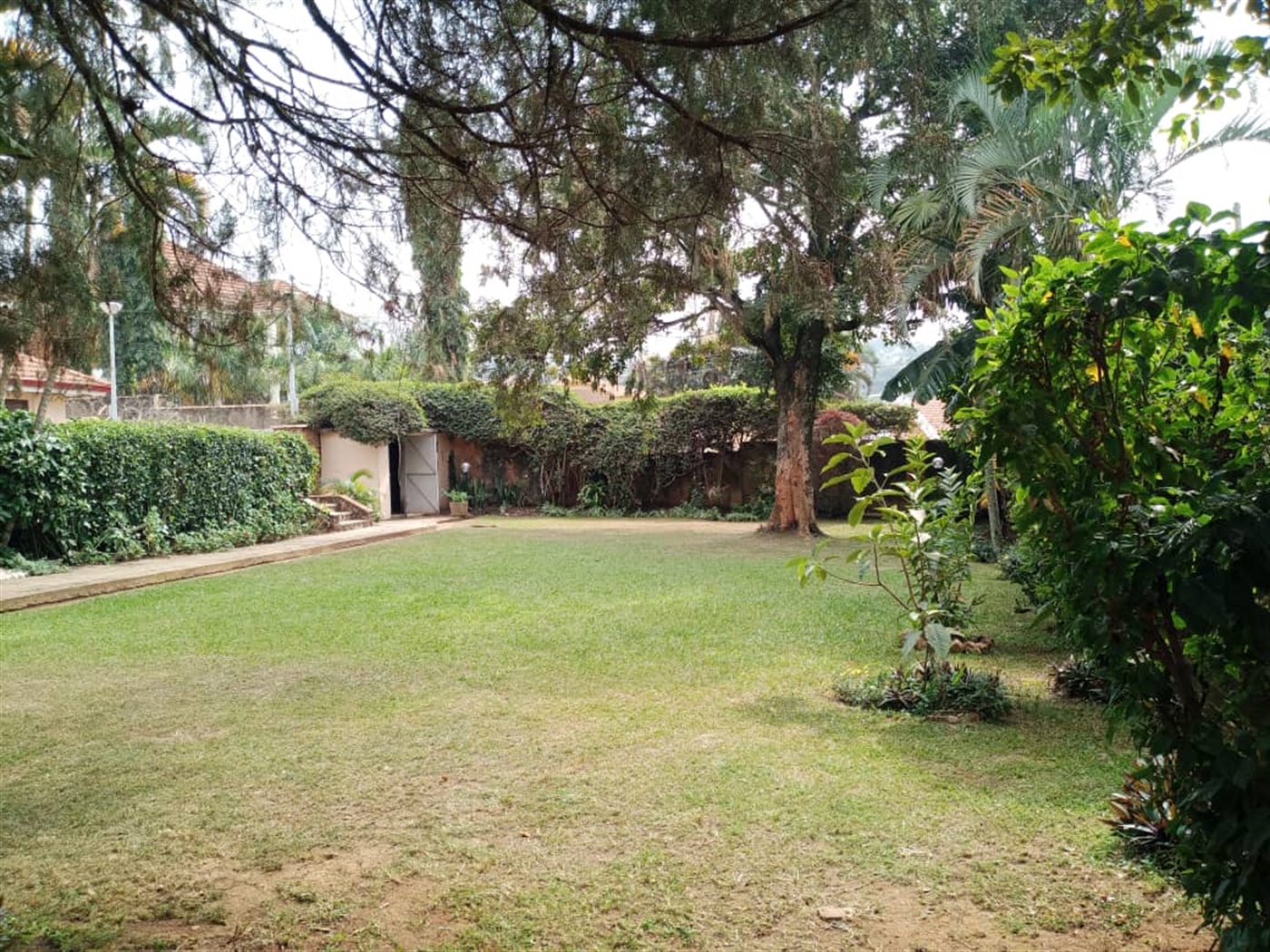 3 bedroom Bungalow for rent in Muyenga Kampala Uganda