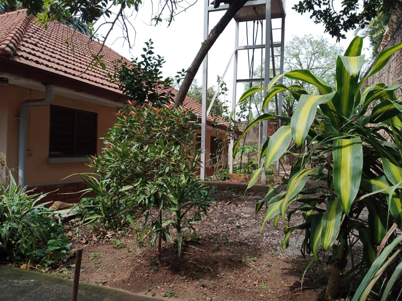 3 bedroom Bungalow for rent in Muyenga Kampala Uganda
