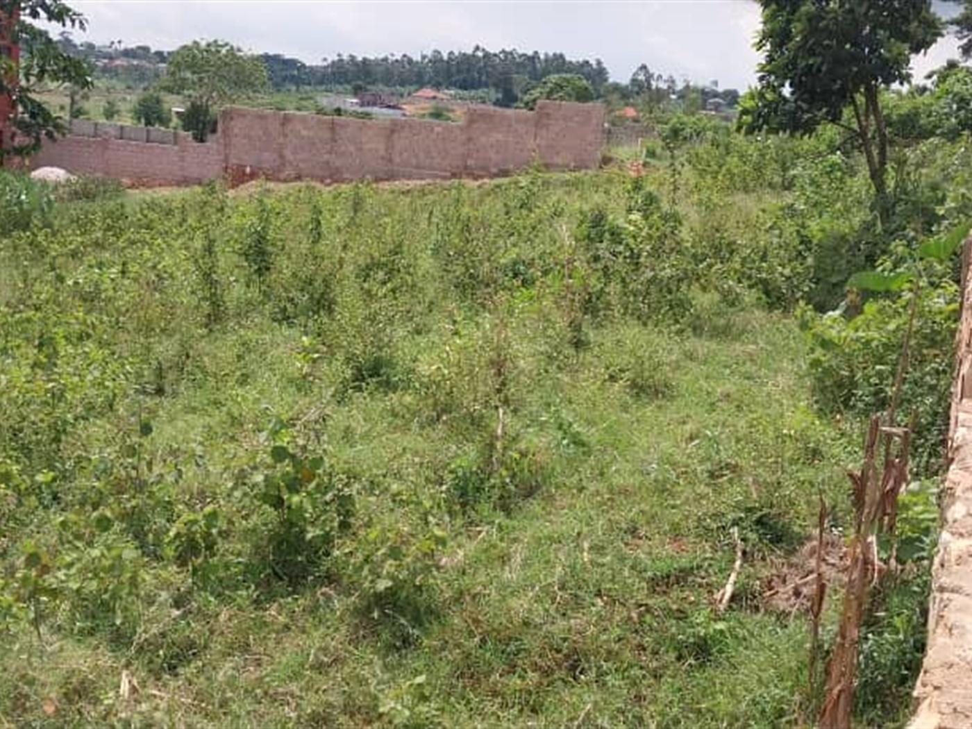 Commercial land for sale in Kira Wakiso Uganda