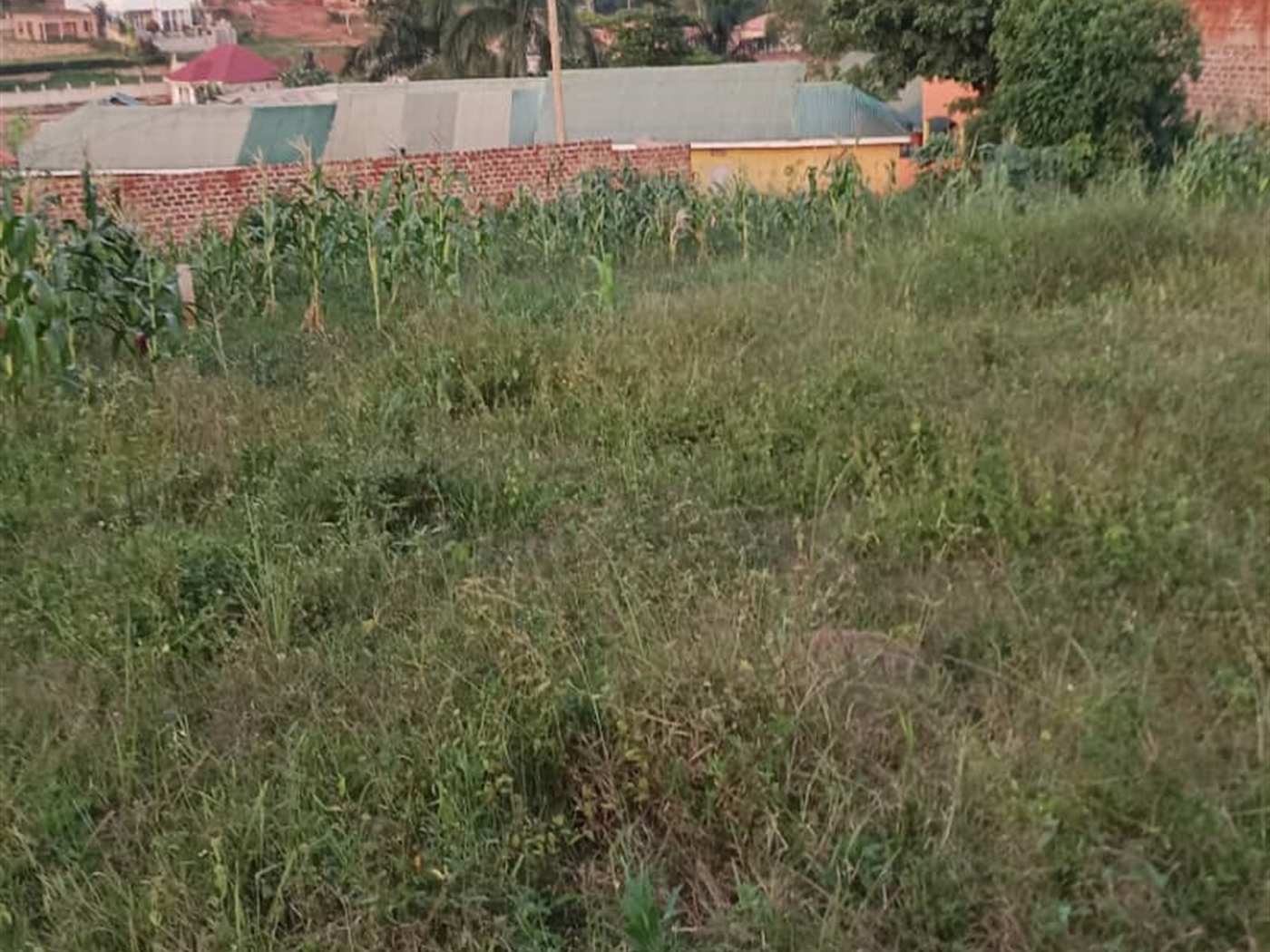 Commercial land for sale in Manyagwa Wakiso Uganda