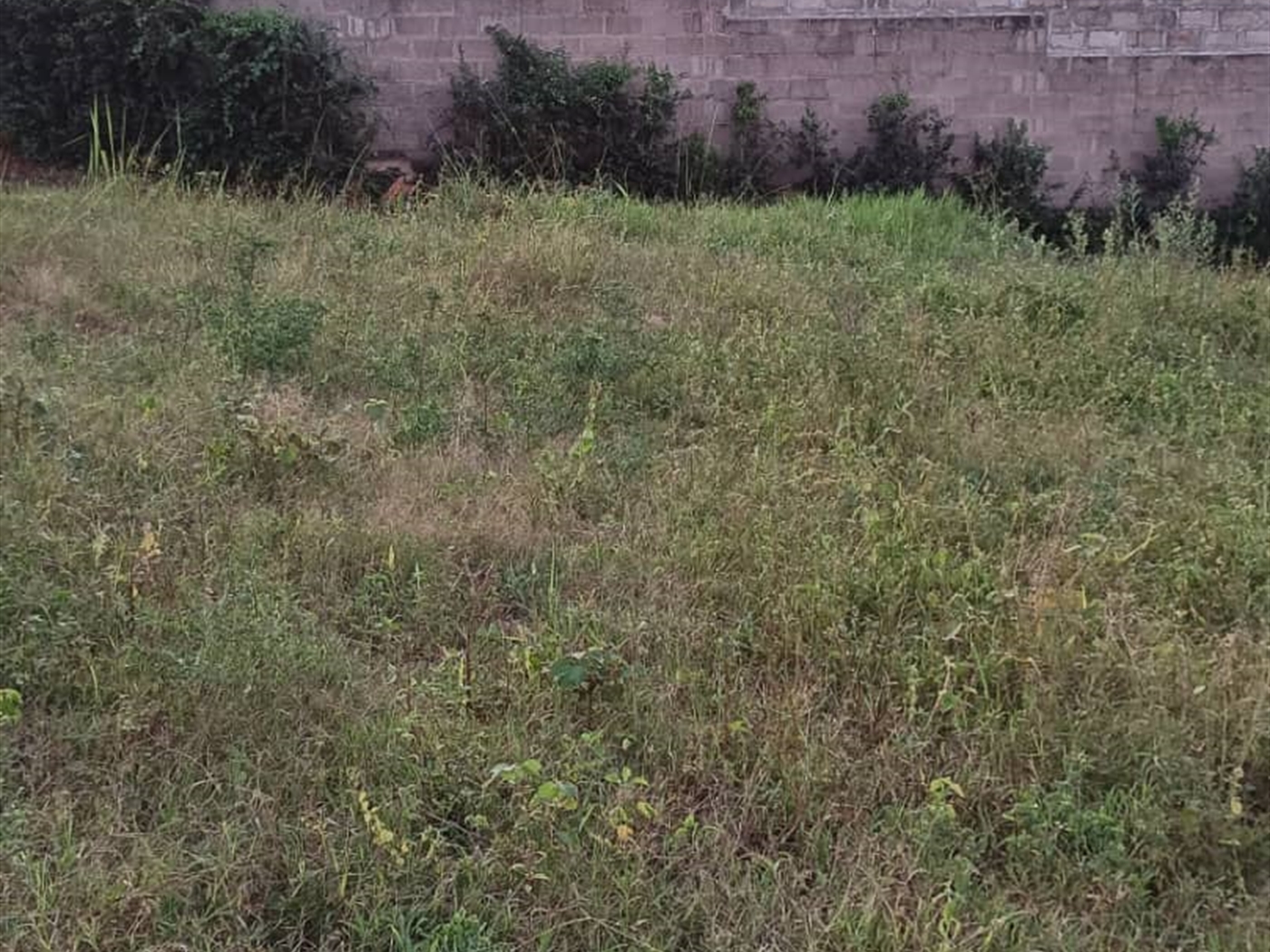 Commercial land for sale in Manyagwa Wakiso Uganda
