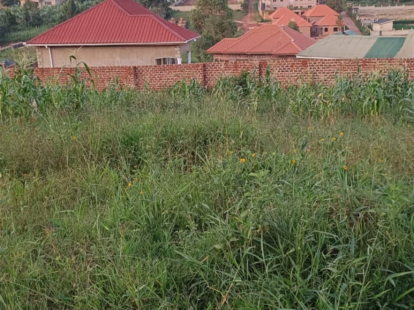 Commercial land for sale in Manyagwa Wakiso Uganda