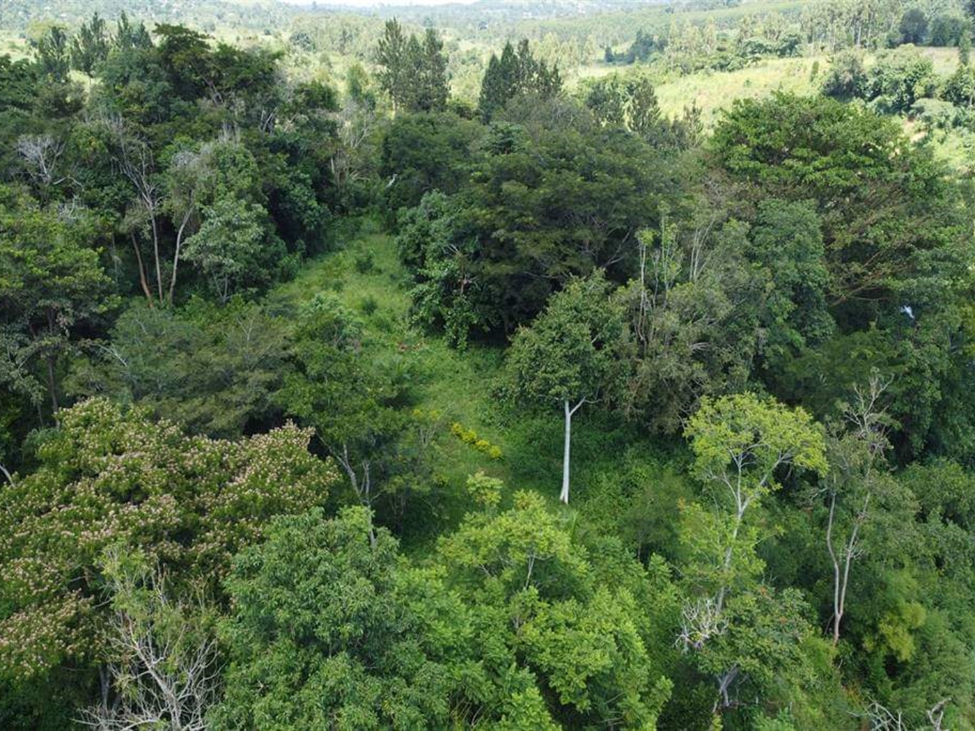 Commercial land for sale in Kiteetikka Wakiso Uganda