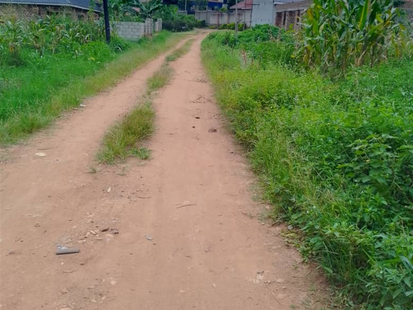 Commercial land for sale in Kiwenda Wakiso Uganda