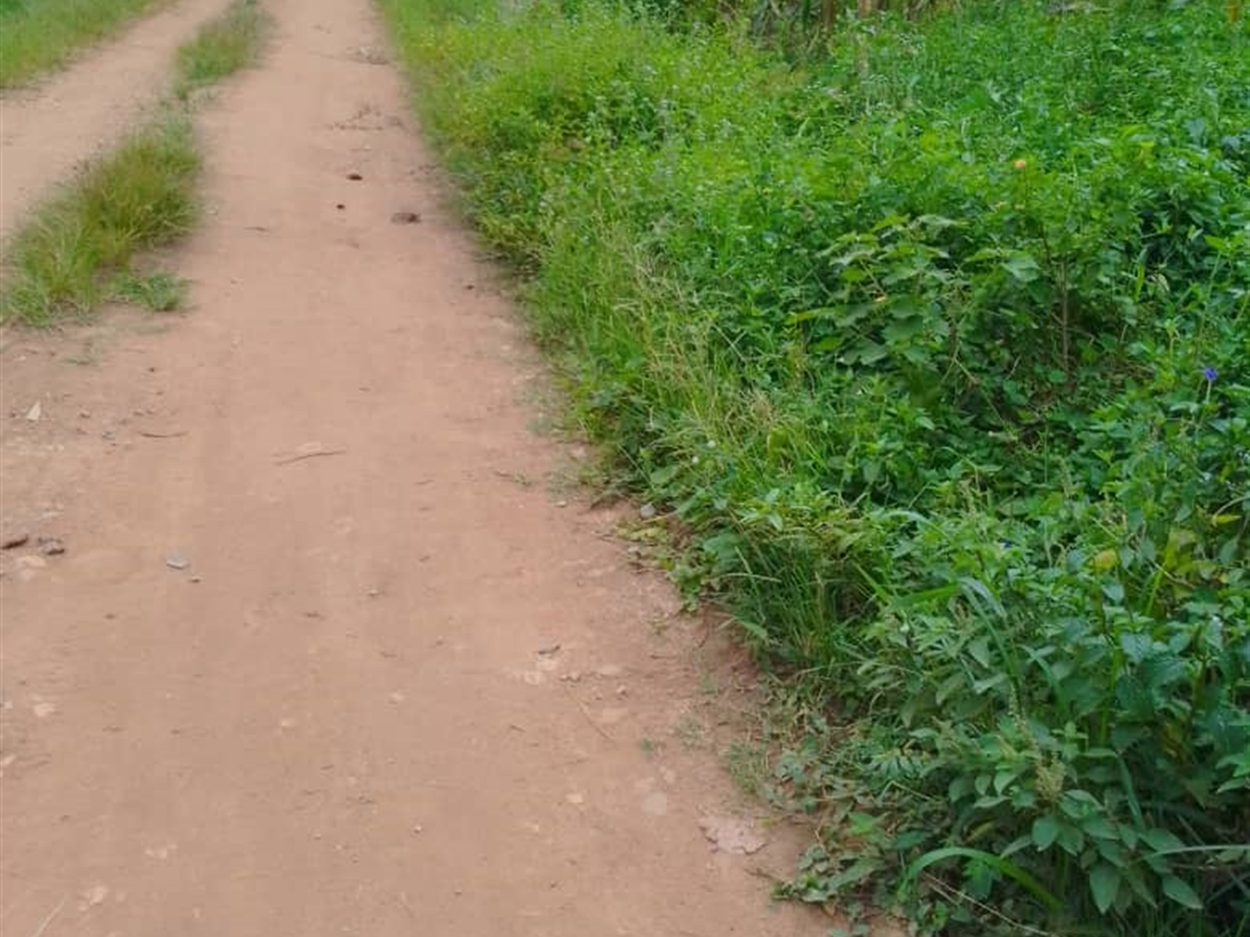 Commercial land for sale in Kiwenda Wakiso Uganda