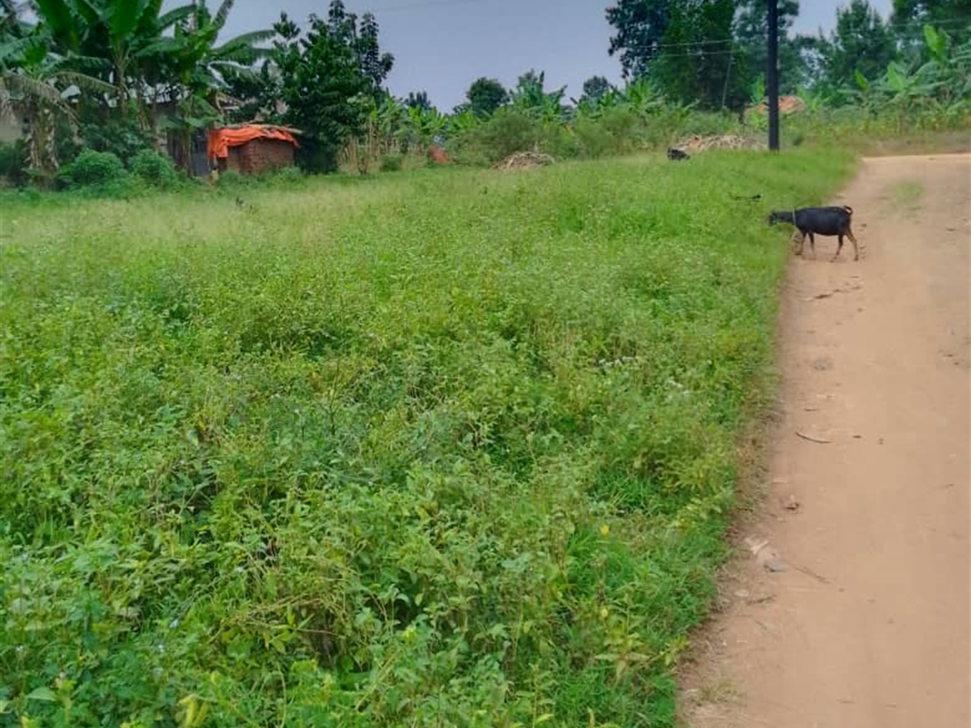 Commercial land for sale in Kiwenda Wakiso Uganda