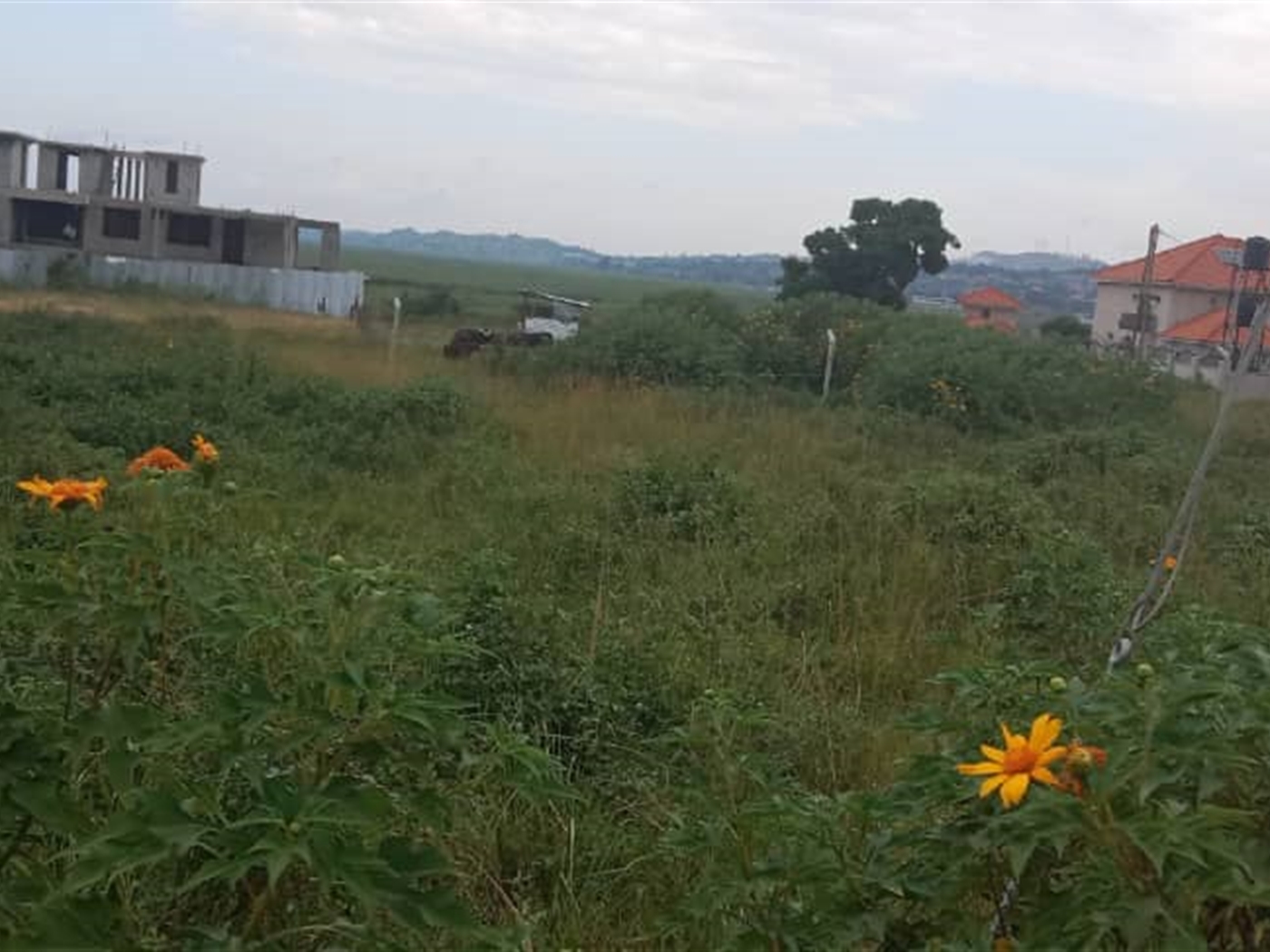 Commercial land for sale in Lubowa Wakiso Uganda