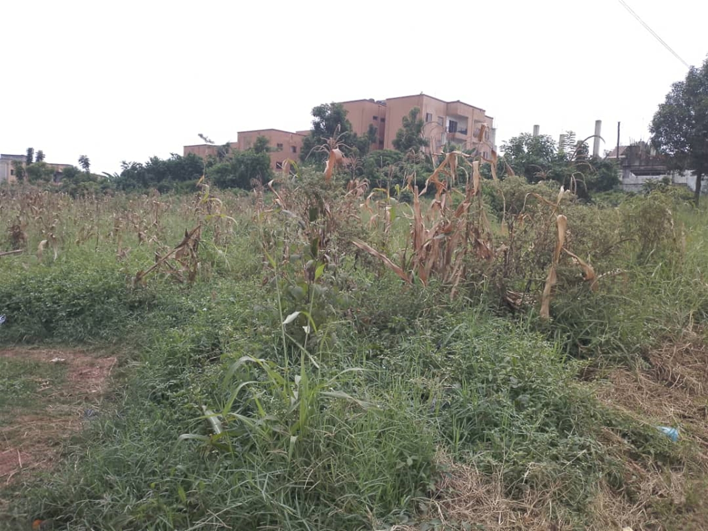 Commercial land for sale in Komamboga Wakiso Uganda