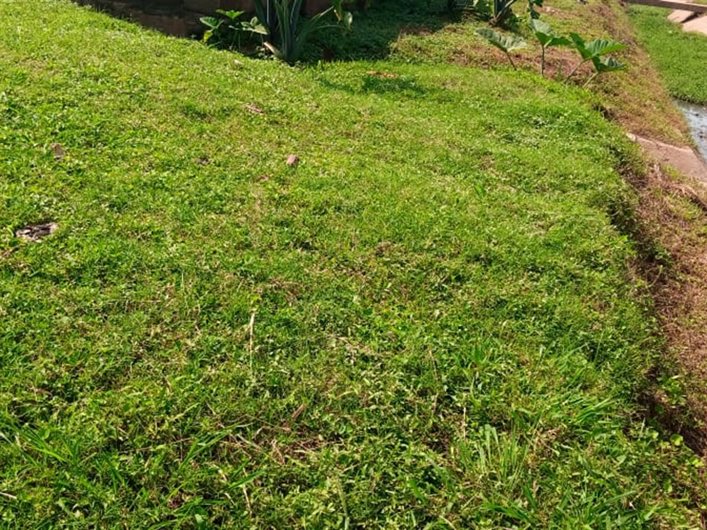 Commercial land for sale in Kyebando Kampala Uganda